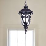 Naples 3-Light Marbelized Mahogany Hanging Light
