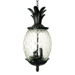 Lanai 3-Light Black Coral Hanging Light - Image 2
