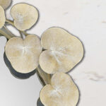 29" Beige Metal Round Accent Mirror - Image 5